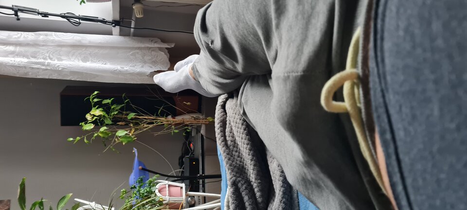 20220304_160034.jpg - BreakingPoint