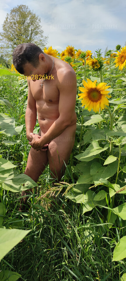 IMG_20220807_144640.jpg - para2826krk