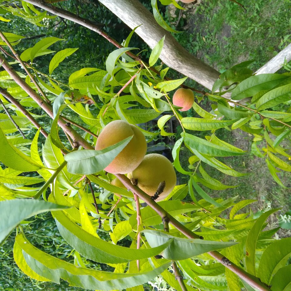 20220807_145740.jpg - Krzyszto1234