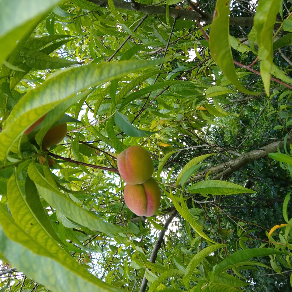 20220807_145748.jpg - Krzyszto1234