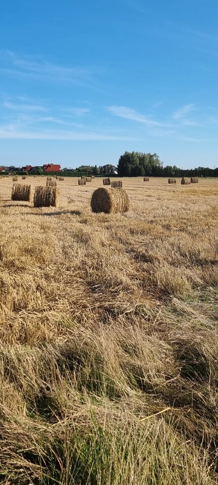 Hmmm...co można by tu porobić.... - Milymeen40