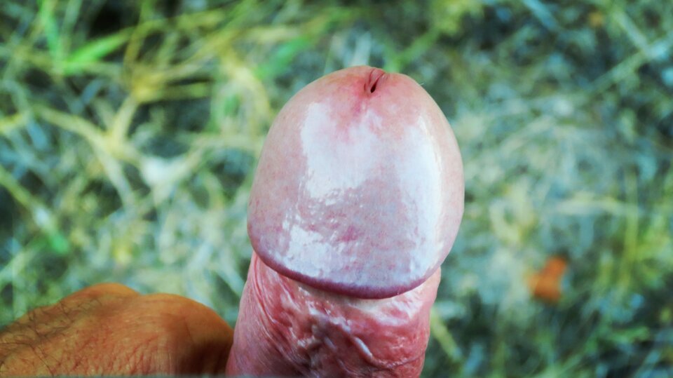 IMG_20220807_192212.jpg - eroteooo