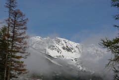 IMGP1896_Cel na lato - Tri Kopy.jpg