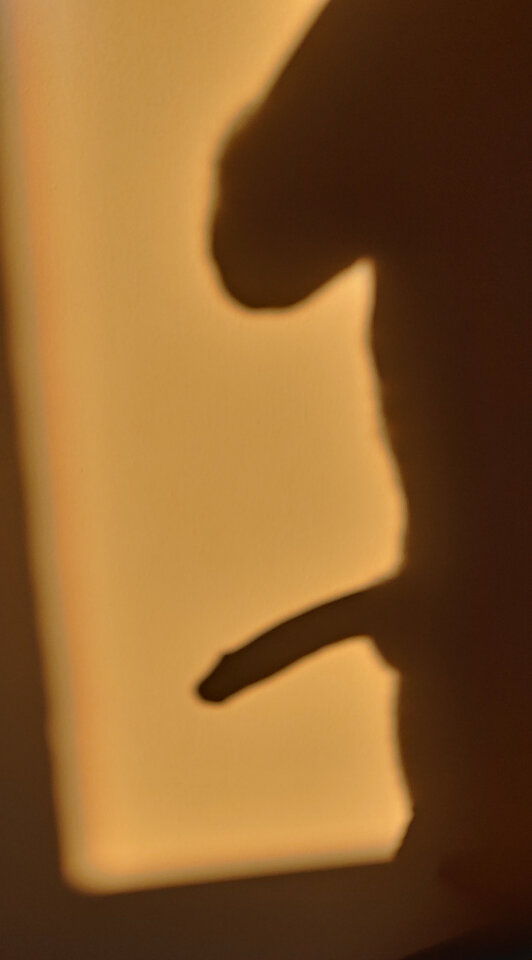 PSX_20220807_202947.jpg - Chagal69