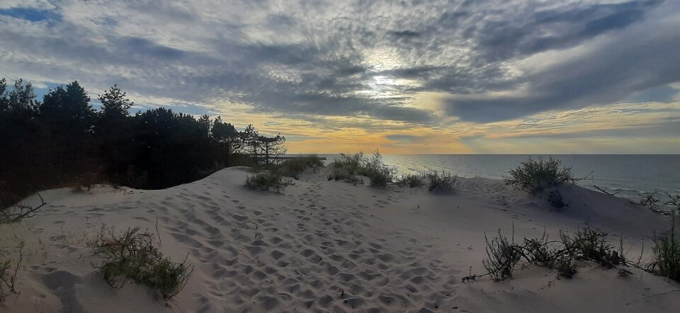 20220729_190328.jpg - Heteryk80