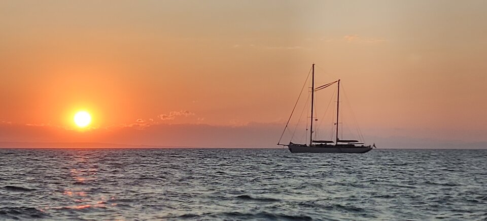 IMG_20220808_070436.jpg - Puch_chatka