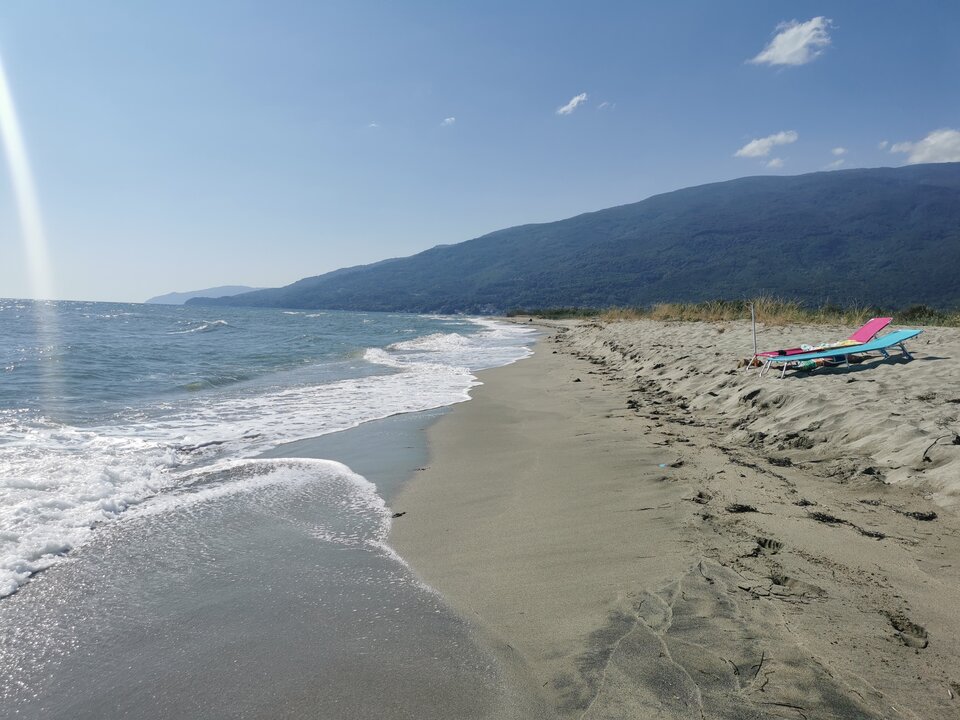 IMG_20220808_102605.jpg - crivakris4443