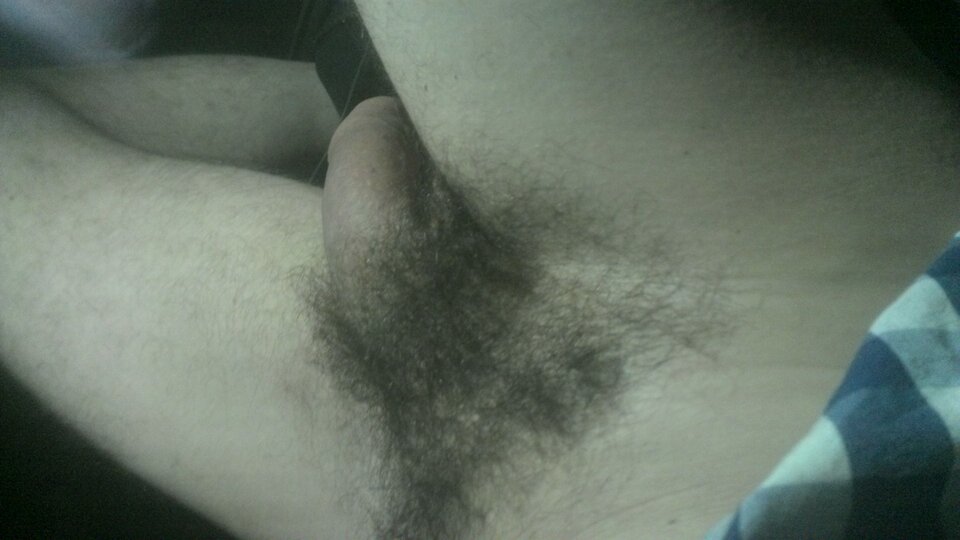 WIN_20220808_01_48_23_Pro.jpg - Pepe91