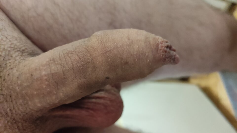 IMG_20220808_194918.jpg - Kriss7788