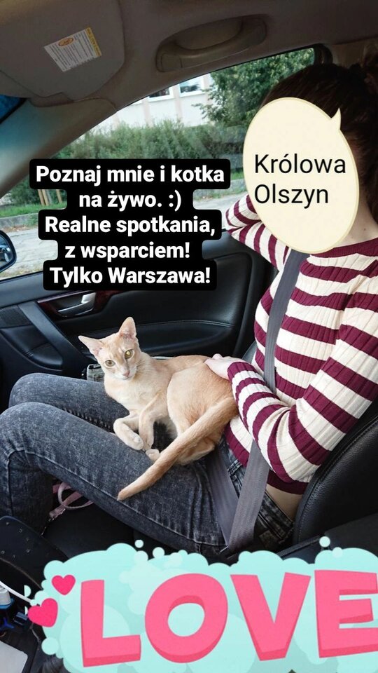 photo_2022-08-08_21-17-56.jpg - KrolowaOlszyn