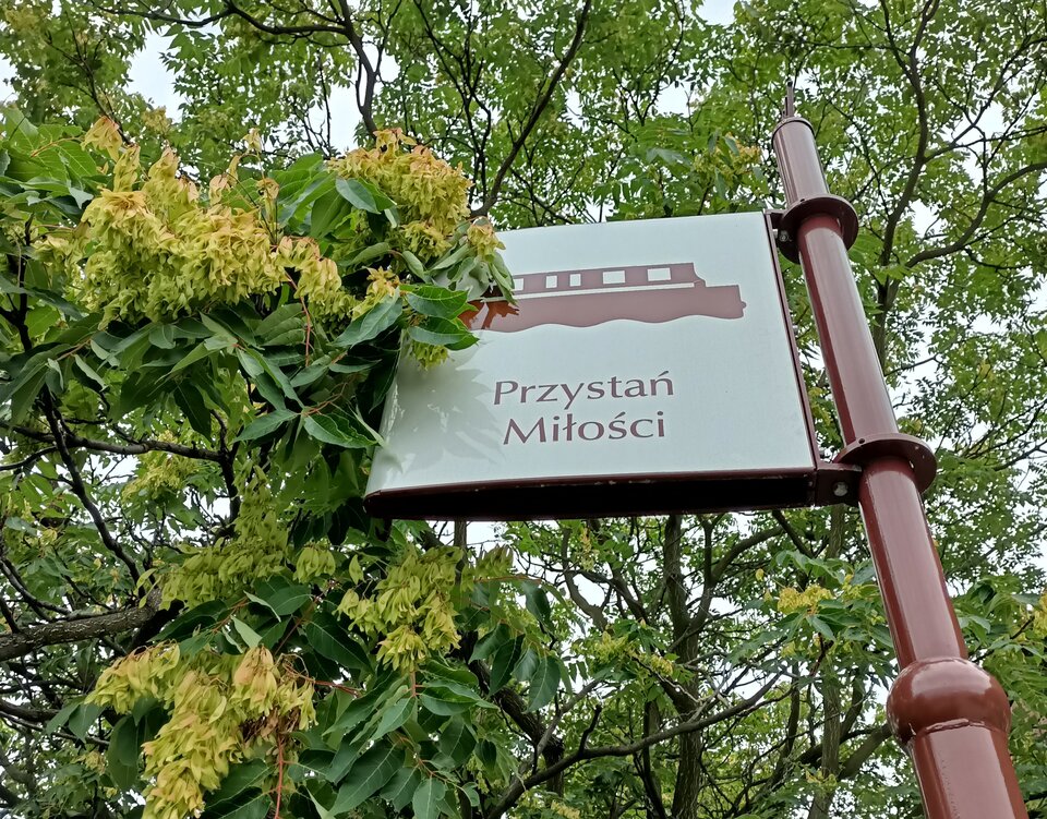 IMG_20220809_100122.jpg - martroper