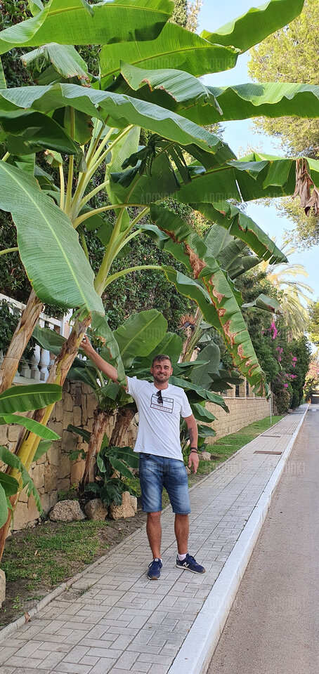 20220809_195643.jpg - Adminki