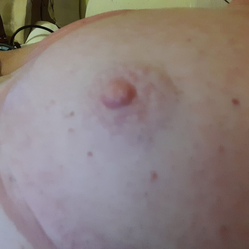 16600779664553528571081037316549.jpg - Palciusia