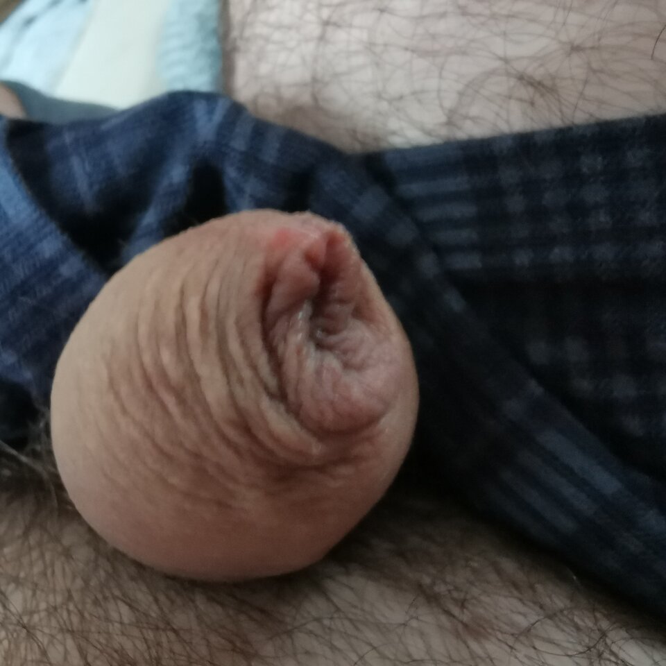 IMG_20220806_145855.jpg - Zi0001