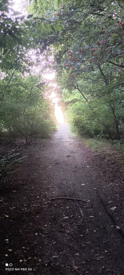 IMG_20220810_192221.jpg - Napaleni75