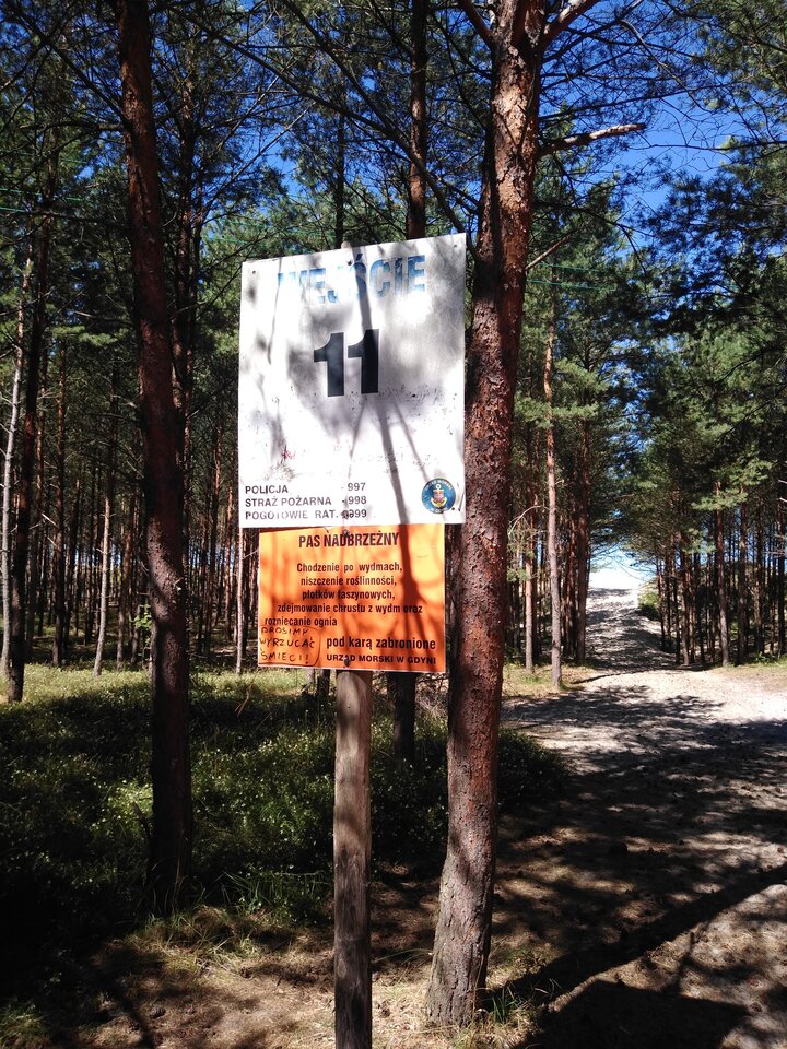 IMG_20220811_114607399_HDR.jpg - wawamybi