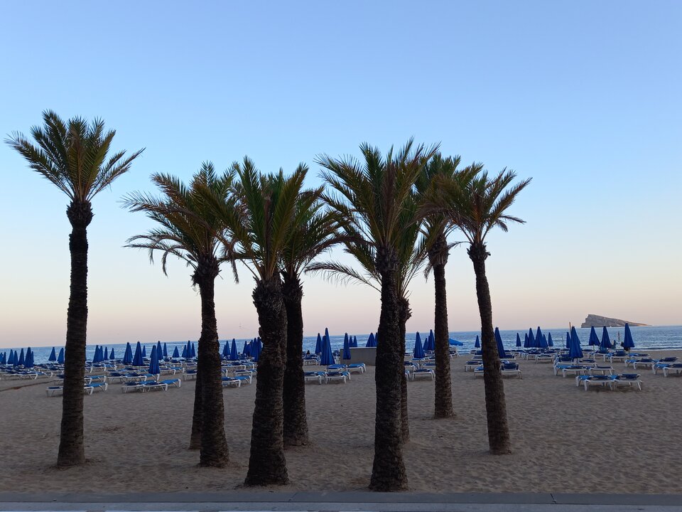 20220718_205548.jpg - freedom6969