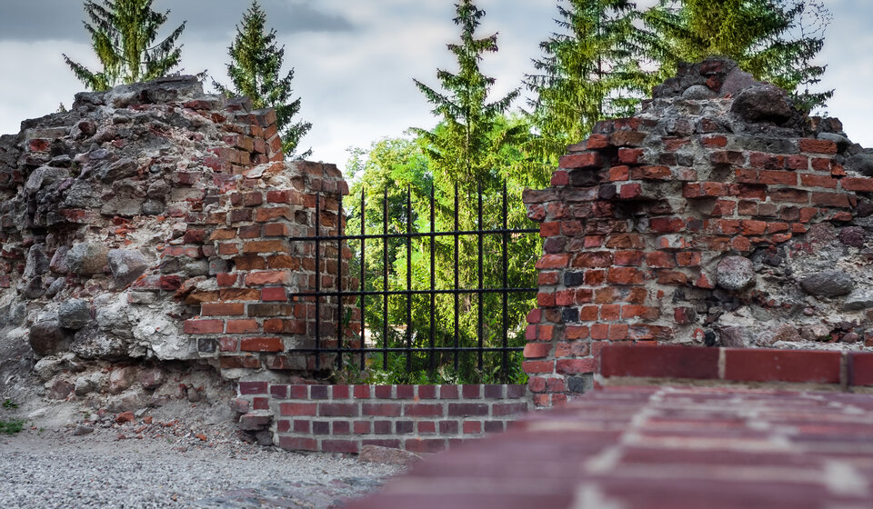 IMG_3355.jpg - Roscoo