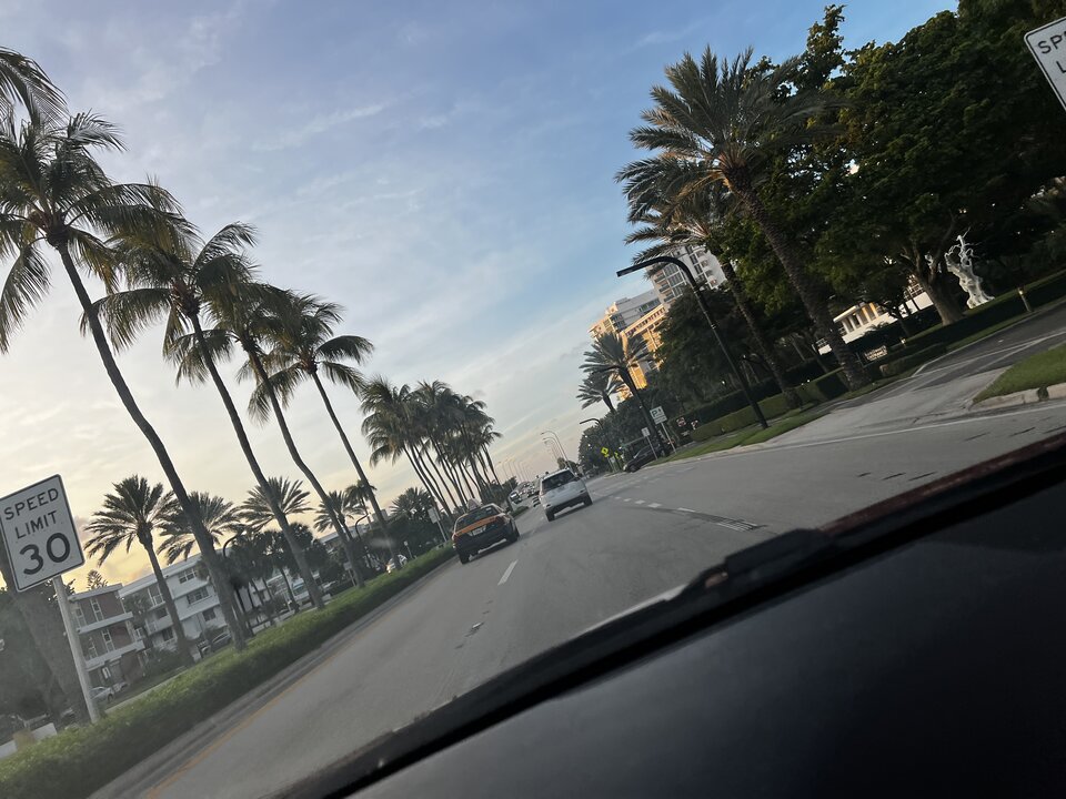 IMG_4095.JPG - XMiami