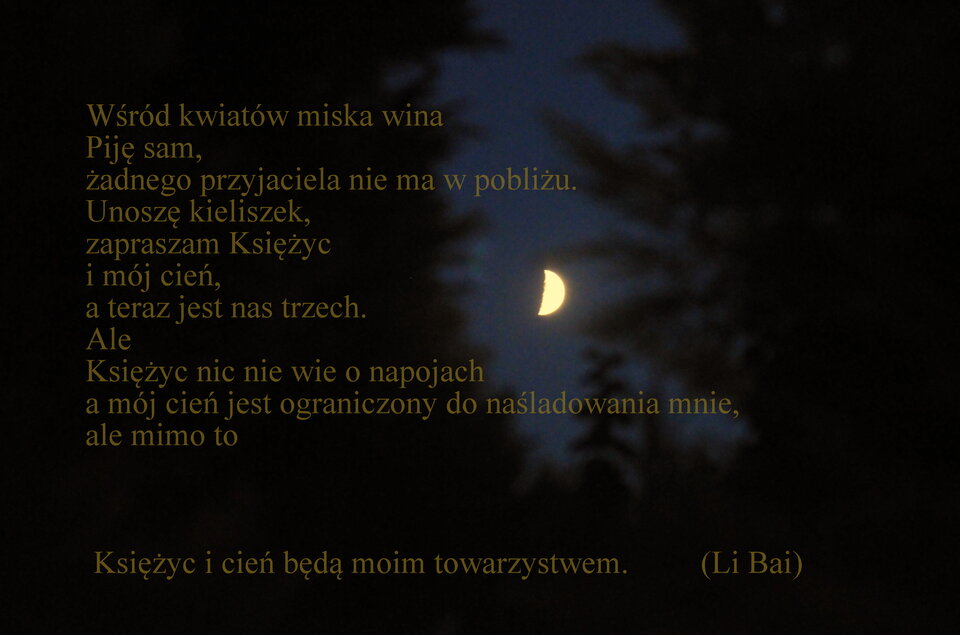 Picie samotnie w świetle księżyca.JPG - demon13