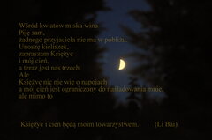 Picie samotnie w świetle księżyca.JPG