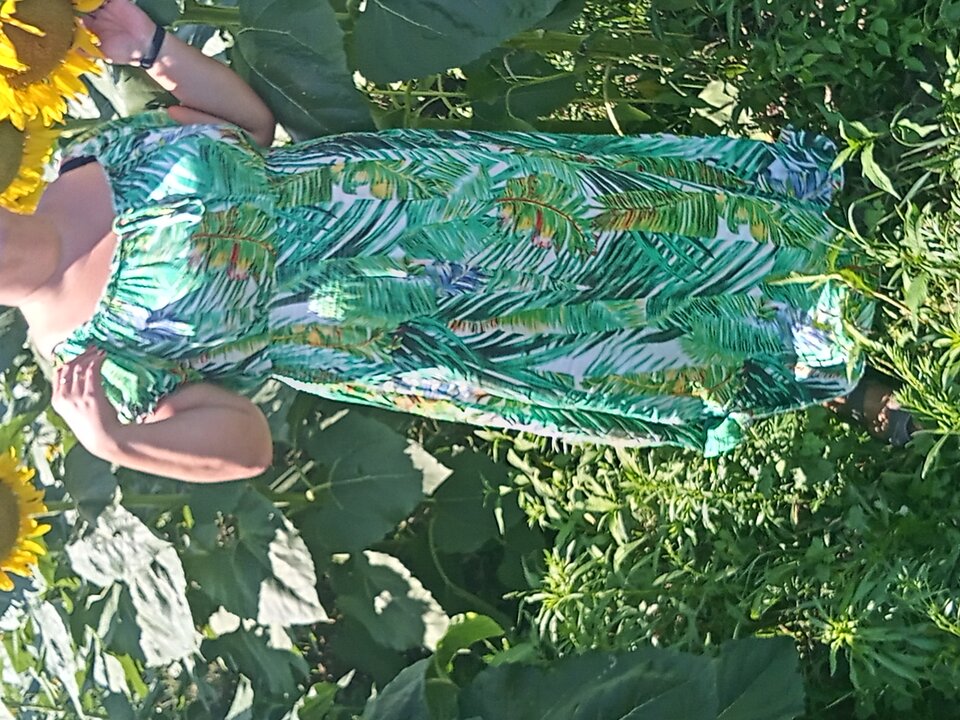 20220812_123314_HDR.jpg - samiswoi7576