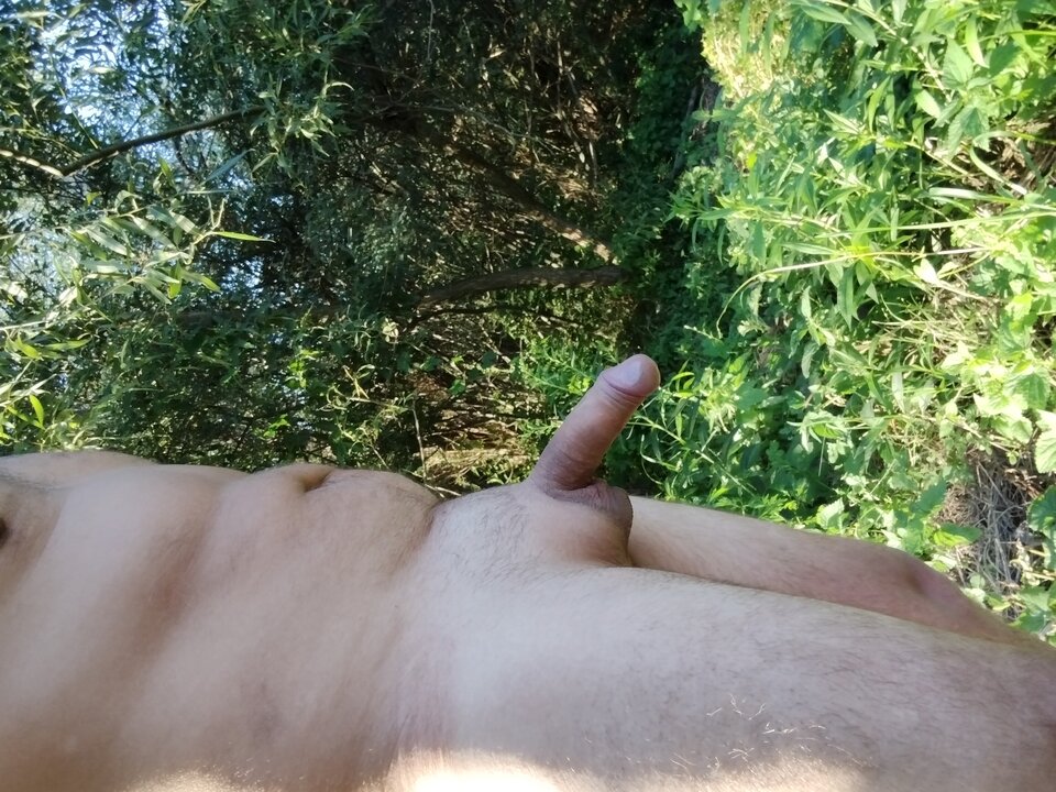 IMG_20220811_184516916.jpg - jan2121