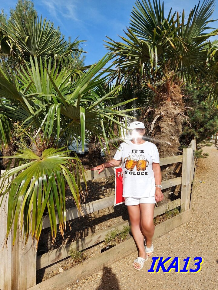 20220806_164326a.jpg - ika13