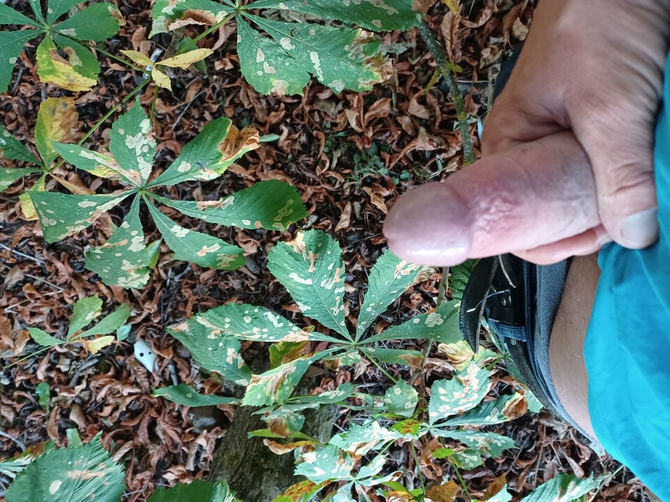 16603306640558710843080332133450.jpg - Pablooo15