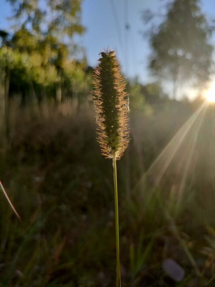 IMG20220809192722.jpg - Wsamrazbezslow