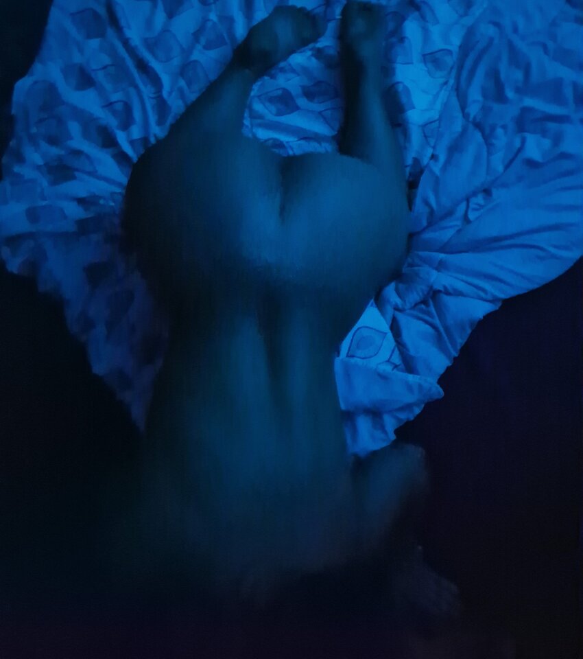 Do raportu... - Tonight_is_TheNight