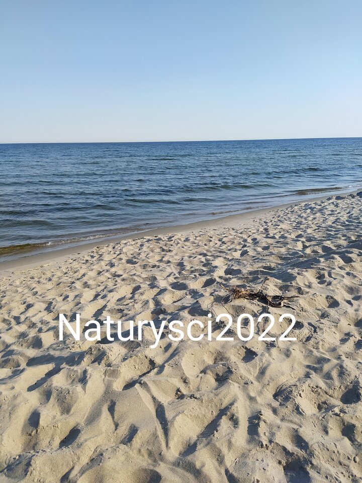 Piaski 13.08.2022 - Naturysci2022