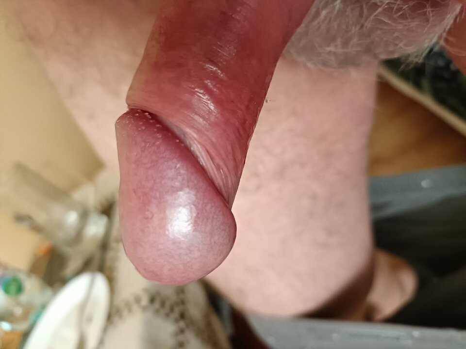 16603777234311445358255484371839.jpg - ardas1