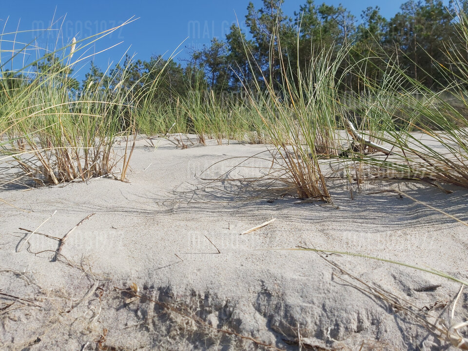 20220808_152700.jpg - malgos1972