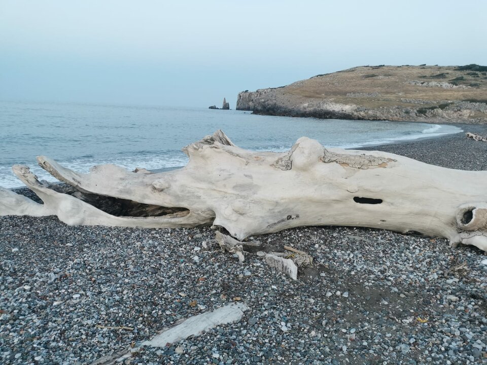 IMG-20220813-WA0010.jpg - crivakris4443