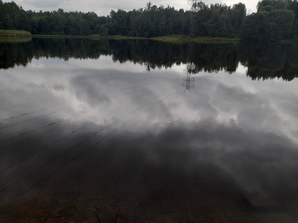 20220813_131333.jpg - Ambrozja2