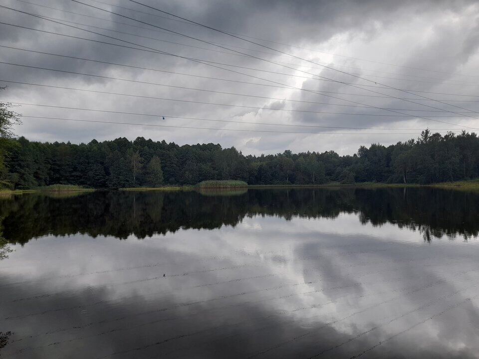 20220813_131341.jpg - Ambrozja2