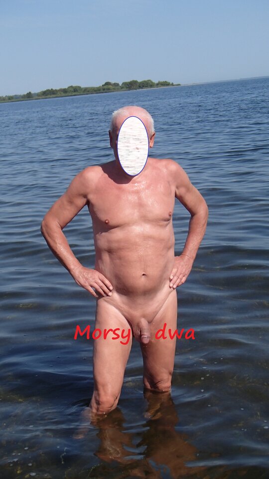 W zatoce Puckiej. - Morsy_dwa