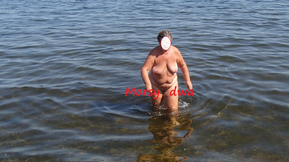 W zatoce Puckiej. - Morsy_dwa