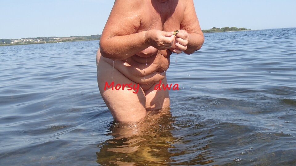 W zatoce Puckiej. - Morsy_dwa