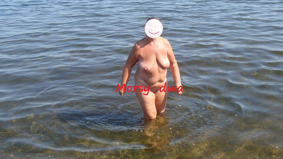 W zatoce Puckiej. - Morsy_dwa