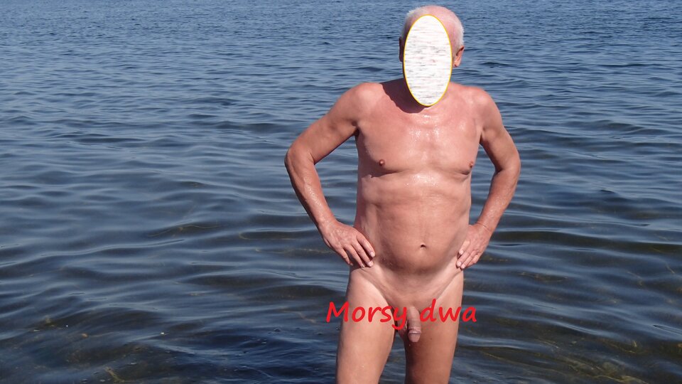 W zatoce Puckiej. - Morsy_dwa