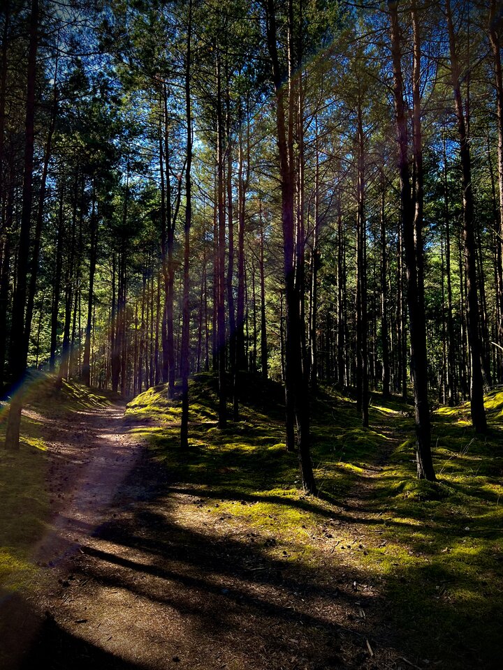 CE8B43B2-EEB7-4F19-B581-A595A36A85B5.jpeg - Mieszczanin