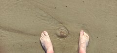 IMG_20220811_172030.jpg