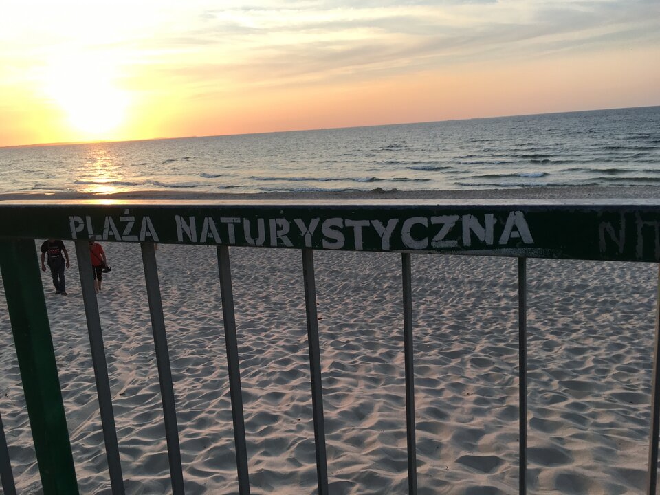 29EE36E6-3EE1-418E-AEC9-2CA892C97E89.jpeg - para0