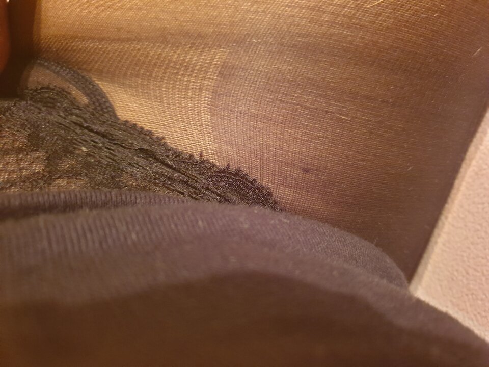 20220814_030854.jpg - LiLmaSTiTSBI