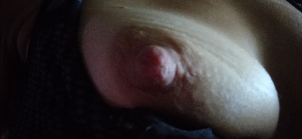 IMG_20220814_043052.jpg - Dorotapa