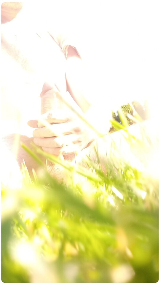 słoneczna impresja - mmmisio