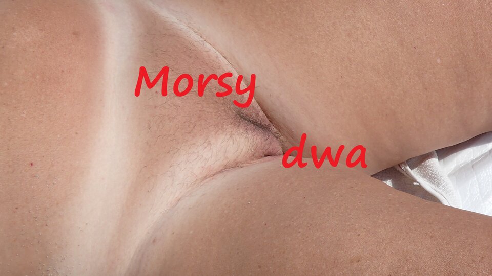 Plaża Rewa (golasów) . - Morsy_dwa