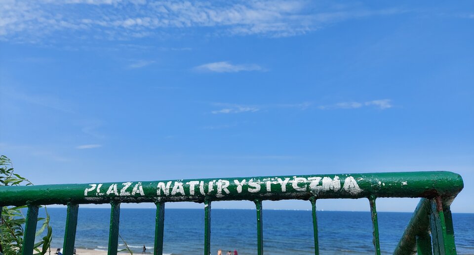 20220813_123645.jpg - ellfire1